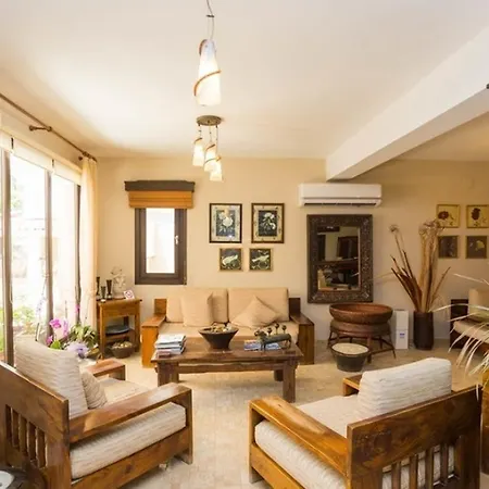 & (adults Only) ダルヤン