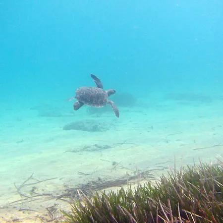 & (adults Only) ホテル