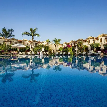 & (adults Only) ダルヤン